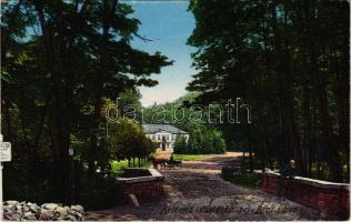 Pozsony, Pressburg, Bratislava; Vaskutacska, sétány / zelezná studénka / spa, promenade (EK)