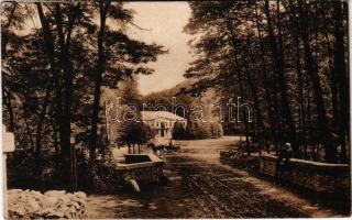 1919 Pozsony, Pressburg, Bratislava; Vaskutacska, sétány / zelezná studénka / spa, promenade