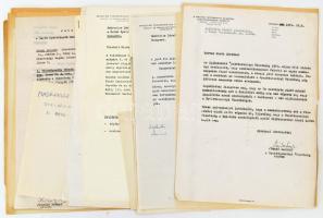 cca 1966-1973 Hadrovics László (1910-1997) nyelvész, szlavista, az MTA tagjának iratai: neki írt levelek (többségében az MTA Nyelvtudományi Intézetétől); jelentések, beszámolók a Szláv Nyelvészeti Munkabizottság üléseiről és munkájáról; javaslat, meghívó, stb. Részben autográf aláírásokkal (köztük Hadrovics László aláírásával). Vegyes állapotban.