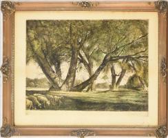 Kaveczky Zoltán (1897-1965): Tiszaparti fűzfák. Rézkarc, papír, jelzett. Üvegezett, dekoratív fakeretben, 27×38 cm