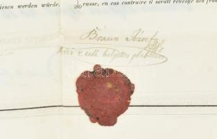 1871 Útlevél külföldre munkásnő részére Jeruzsálembe hajtva / Hungarian passport to Jerusalem for wo...