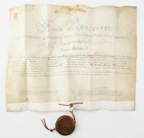 1906 Kolozsvár, a Magyar Királyi Ferenc József Tudományegyetem által kiállított jogtudományi doktori diploma, rajta Lukáts Adolf (1848-1924) jogász, a jogi kar dékánjának autográf aláírásával, 2K okmánybélyeggel, fatokos függőpecséttel. Hajtva, kissé gyűrött, a lap széle foltos, 64x48 cm