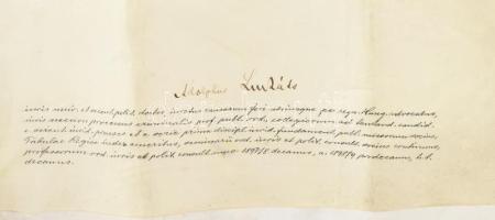 1906 Kolozsvár, a Magyar Királyi Ferenc József Tudományegyetem által kiállított jogtudományi doktori...