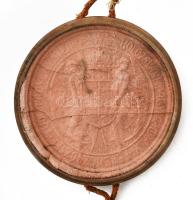 1906 Kolozsvár, a Magyar Királyi Ferenc József Tudományegyetem által kiállított jogtudományi doktori...