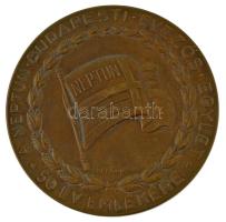 Berán Lajos (1882-1943) 1934. "A Neptun Budapesti Evezős Egylet - 50 év emlékére" kétoldal...