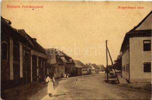 1909 Felsőbánya, Baia Sprie; Nagybányai utca. Bonis Sándor kiadása / street