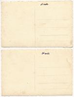 Kolozsvár, Cluj; Botanikus kert - 2 db régi fotó képeslap / botanical garden - 2 pre-1945 photo post...