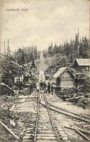 Gyulafalva Incline-railway, lumber-yard
