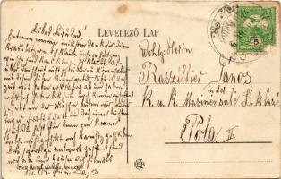 1910 Resicabánya, Resicza, Recita, Resita; vasgyári kohók, iparvasút. Neff Antal kiadása / iron work...