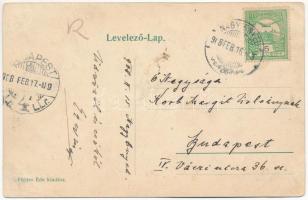 1908 Nagyenyed, Aiud; Sétatéri fenyves sétány. Földes Ede kiadása / promeande alley (ázott sarok / w...