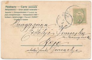 1905 Vízakna, Salzburg, Ocna Sibiului; sós-gyógyfürdő. Takáts Jenő kiadása, szecessziós keret / spa....