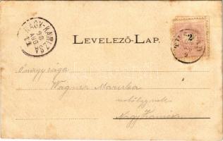 1898 (Vorläufer) Tusnádfürdő, Baile Tusnad; fürdők, szálloda, kút. Wlaszlovits Gusztáv kiadása / spa...