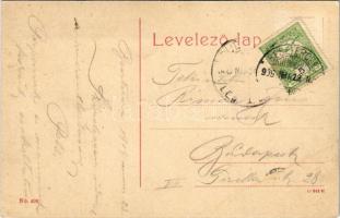 1909 Beszterce, Bistritz, Bistrita; Evangélikus főgimnázium / Lutheran school (EK)