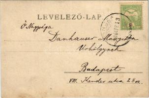 1906 Drassó, Drasov (Fehér, Alba); Lázár-kúria (Teleki kastély). Alföldy Károly felvétele / castle. ...