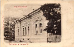 Máramarossziget, Sighetu Marmatiei; Szép utca. Berger Miksa kiadása / street