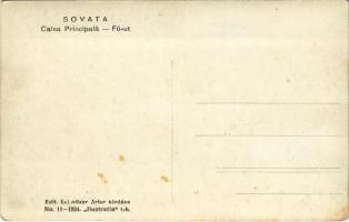 Szováta, Sovata; Fő út, gyógyszertár üzlete, kiadó szobák. Schnitzer Artur kiadása / Calea Principal...