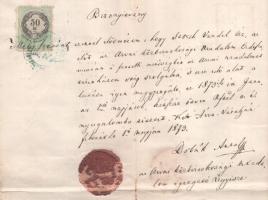 1873 Storch Vendel (1827-1886 után) 1848-49-es szabadságharcos, komáromi várőr részére kiállított bi...