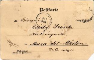 1901 Wien, Vienna, Bécs XVII. Dornbach, Dornbacherstrasse, Restauration zur güld. Waldschnepfe, Gast...