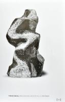 Szabó Júlia: Gádor Magda. Szerk.: Csák Ferenc. Bp., 2004, Körmendi Galéria. Gazdag képanyaggal, a mű...