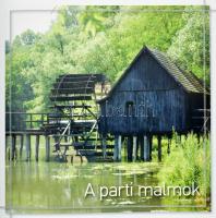 Kádár Péter: A vízimalmoktól a vízerőművekig. Bp., 2010, Új Mandátum. Színes képekkel nagyon gazdago...