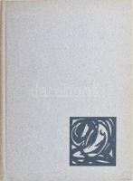 Passuth Krisztina: Magyar művészek az európai avantgarde-ban. A kubizmustól a konstruktivizmusig. 1919-1925. Bp., 1974, Corvina. Kiadói kartonált papírkötésben.