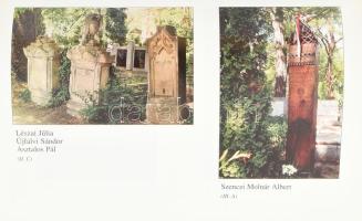 Gaal György: Tört kövön és porladó kereszten. Pusztuló múlt és fájó jelen a Házsongárdi temetőben. K...