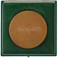 Domonkos Béla (1934-) DN "Telefongyár anno 1876 - Neuhold János" egyoldalas, öntött bronz ...