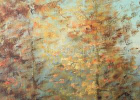 Walter Rohrbach (1939-2021): Falkavadászat. Olaj, vászon, jelezve jobbra lent. Dekoratív fakeretben....