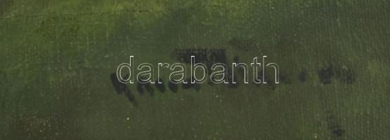 Kassai Varga jelzéssel, XX. sz. első fele/közepe: Táj. Olaj, vászon. Sérült. 37,5x48 cm