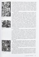 Aknai Tamás: Egyetemes művészettörténet 1945-1980. Dialógus Campus kiadó, Budapest-Pécs, 2001, kiadó...