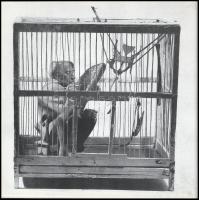 V. Országos Kisplasztikai Biennálé. Pécs, 1976. Szerk.. Romváry Ferenc. Borító- és plakátterv: Pincz...