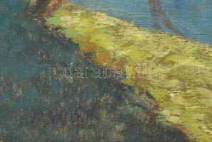 Olvashatatlan jelzéssel, XX. sz. közepe: Vízparti táj. Olaj, falemez. Kissé vetemedett. Fakeretben. ...