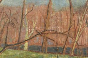 Olvashatatlan jelzéssel, XX. sz. közepe: Vízparti táj. Olaj, falemez. Kissé vetemedett. Fakeretben. ...