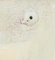 Koppány Attila (1947-): Kockafa. Akril, applikáció, vászon. Jelzett a hátoldalán. Fakeretben. 70x50 ...