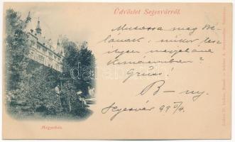 1899 (Vorläufer) Segesvár, Schässburg, Sighisoara; Megyeház. Zeidner H. kiadása / county hall