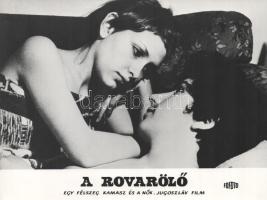 cca 1971 ,,A rovarölő - a félszeg kamasz és a nők" című jugoszláv film jelenetei és szereplői, ...