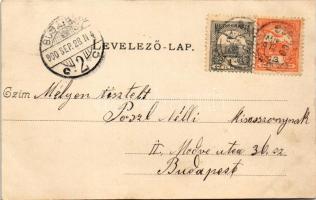 1900 Szentendre, Az általános munkás betegsegélyező pénztár szent-endrei szanatóriuma