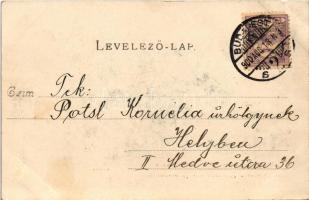 1900 Budapest XII. Svábhegy, fogaskerekű vasút indóháza, vasútállomás vonattal, gőzmozdony, Villa Eö...