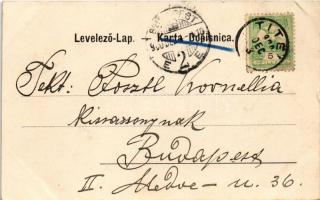 1900 Zimony, Semlin, Zemun; Kaiserin und Königin Elisabeth Park / Erzsébet királynő park. Kercsevits...