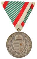 1929. "Magyar Háborús Emlékérem kardokkal, sisakkal" ezüstözött, jelzett bronz kitüntetés ...