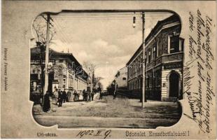 1902 Budapest XX. Pestszenterzsébet, Pesterzsébet, Erzsébetfalva; Úri utca Szent Erzsébet gyógyszertár, Havasy Ferenc üzlete és saját kiadása. Art Nouveau (EK)