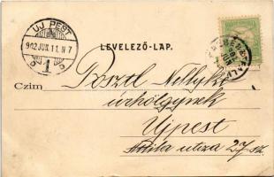 1902 Budapest XX. Pestszenterzsébet, Pesterzsébet, Erzsébetfalva; Úri utca Szent Erzsébet gyógyszert...