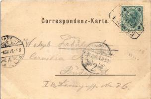 1901 Baden bei Wien, Bahnhof / railway station