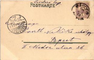 1900 Elberfeld, Blick vom Döppersberger Bahnhof, Hotel Kaiserhof / street, hotel