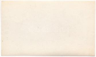 ~1915 Ada-Kaleh, volt török közigazgatás épülete török zászlóval / Turkish administration building w...