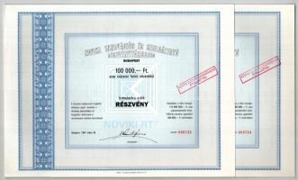 Budapest 1989. Noviki Innovációs és Szolgáltató Részvénytársaság névre szóló részvénye 100.000Ft-ról (10x) sorszámkövetők, szelvényekkel T:AU