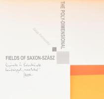 Géza Perneczky: The Poly-dimensional Fields of Saxon-Szász. A művész, Saxon Szász János (1964-) fest...