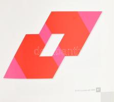 Géza Perneczky: The Poly-dimensional Fields of Saxon-Szász. A művész, Saxon Szász János (1964-) fest...