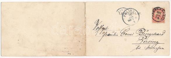 1902 Boksánbánya, Németbogsán, Deutsch-Bogsan, Bocsa Montana; 2-részes kinyitható panorámalap. Rosne...