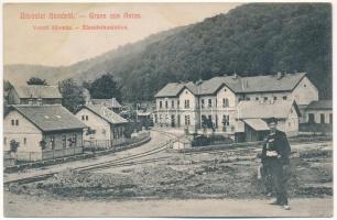 1909 Anina, Stájerlakanina, Steierdorf; Vasútállomás. Hollschütz kiadása / Eisenbahnstation / railway station (fl)
